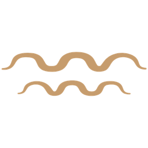 Wassermann Sternzeichen Symbol